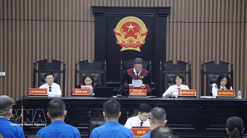 Judge Luu Ngoc Canh announces the decision to bring the case to trial. (Photo: VNA)
