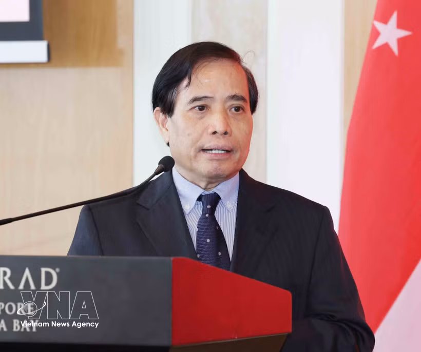 Professor Vu Minh Khuong of the National University of Singapore. (Photo: VNA)