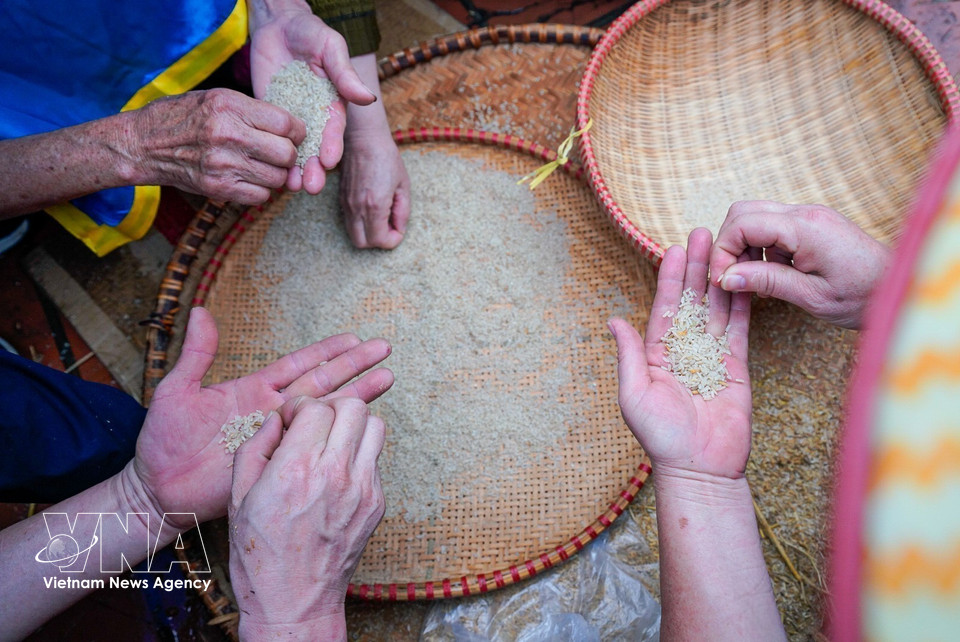 Team members winnow and wash the rice after the paddy has been pounded, preparing for the cooking stage. (Photo: Khanh Hoa – VNA)