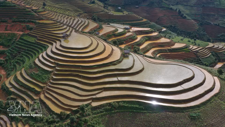 The colours of earth, mountains, forests and water create a distinctive landscape in Mu Cang Chai, Lao Cai province. (Photo: VNA)