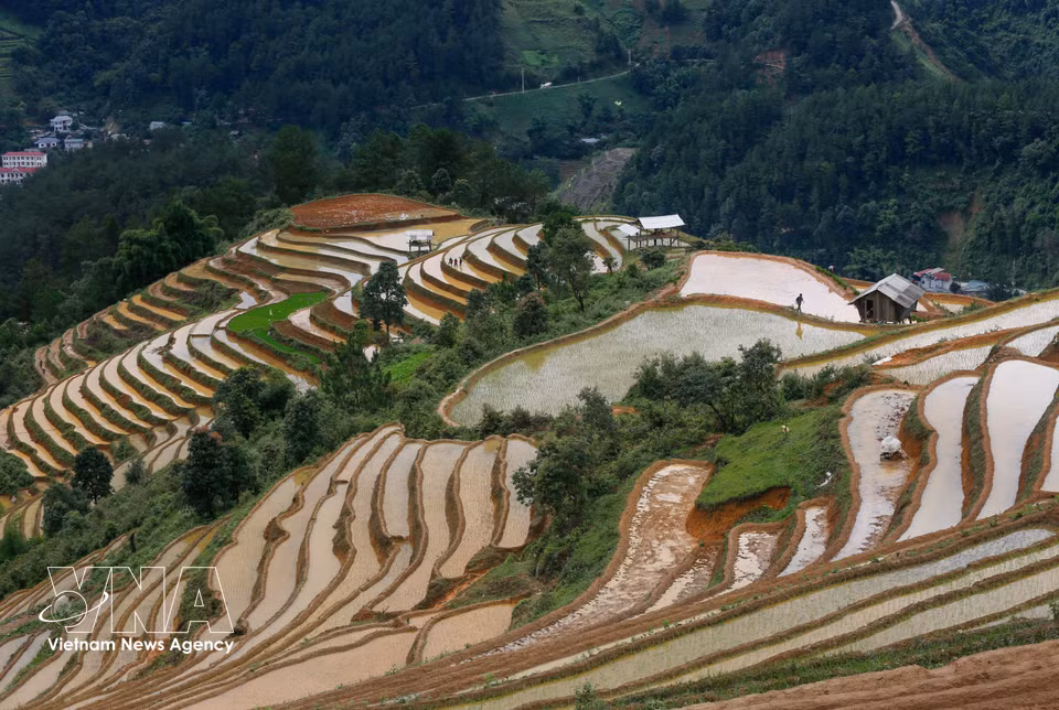 Terraced rice fields in Mu Cang Chai, Lao Cai province during the water-pouring season, when farmers flood the terraced fields in preparation for rice planting. (Photo: VNA)