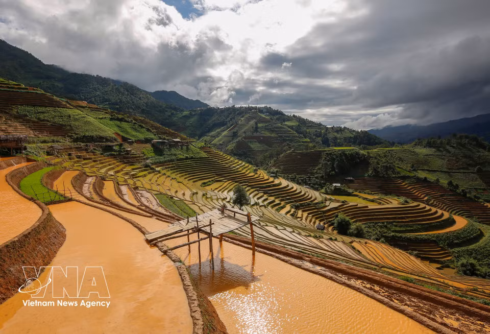 During the water-pouring season, water-filled terraced rice fields form graceful ribbons winding across the mountainsides. (Photo: VNA)