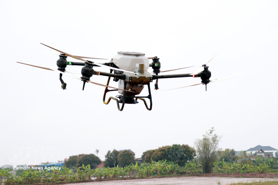 The Nam Dai Duong Youth Cooperative in Nghia Hung commune, Ninh Binh province uses unmanned aerial vehicles to sow rice. (Photo: Nguyen Lanh – VNA)