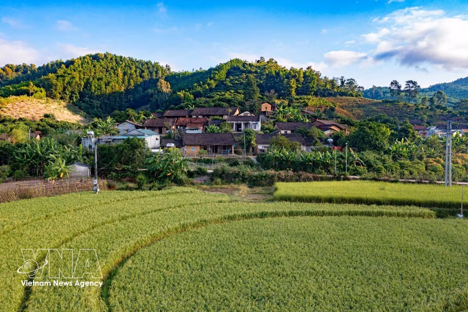 Rice fields stretch across the foothills. The landscape creates an appealing setting for eco and experiential tourism. (Photo: Pham Tuan Anh – VNA)