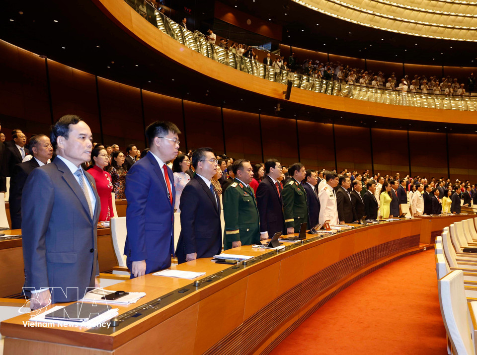 Delegates perform the flag salute at the opening session. (Photo: Thong Nhat/VNA)