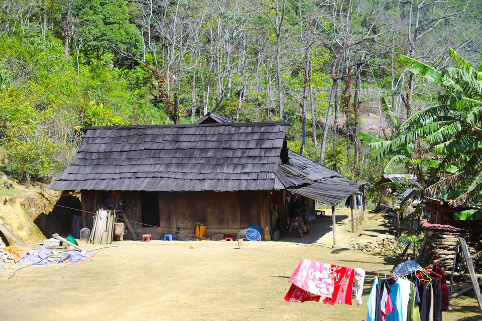 Low, ground-level wooden houses of the Mong people in Huoi Man village are built with wooden frames, many of which are roofed with dark sa mu and po mu wood shingles. (Photo: Xuan Tien – VNA)