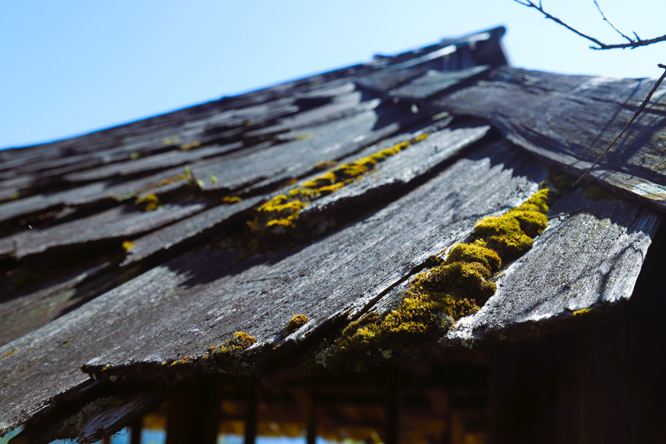 An old house roof covered with sa mu wood shingles in Huoi Man village. (Photo: Xuan Tien – VNA)