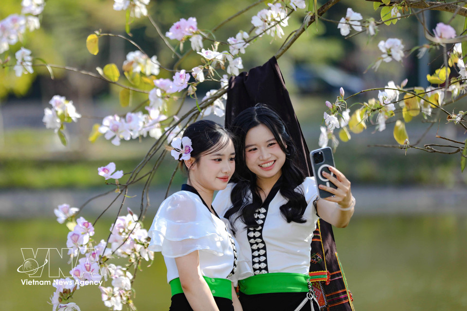 Young people in traditional Thai ethnic attire pose for photos beneath the flowers at their peak bloom. (Photo: Xuan Tu – VNA)