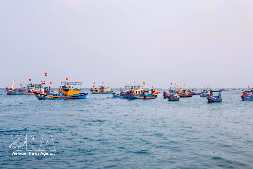 Fishing boats dock at Ly Son fishing port in An Vinh village before sunrise. Fishermen sell seafood and prepare fuel and supplies for their next voyage. (Photo: Lan Anh/Published by VNA)