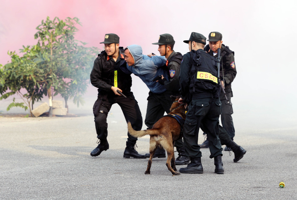 In a simulated scenario, forces assault and subdue a criminal barricaded inside a house, swiftly apprehending a dangerous suspect (Photo: Ta Toan – VNA)