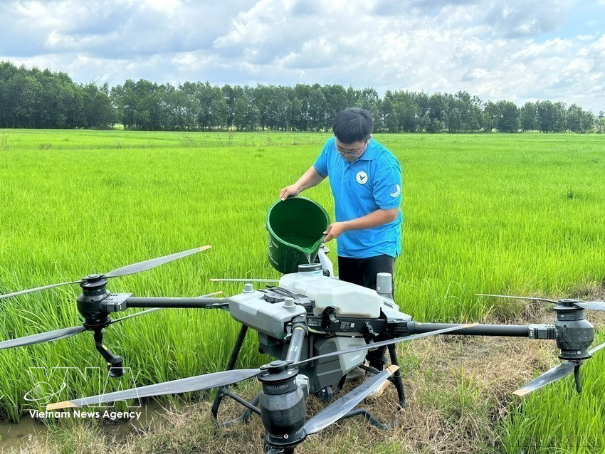 A youth member in Dong Nai province tests drones for agricultural support, helping reduce production time and ease the labour burden for local farmers. (Photo: Published by VNA)