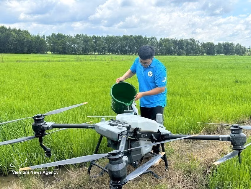 A youth member in Dong Nai province tests drones for agricultural support, helping reduce production time and ease the labour burden for local farmers. (Photo: Published by VNA)
