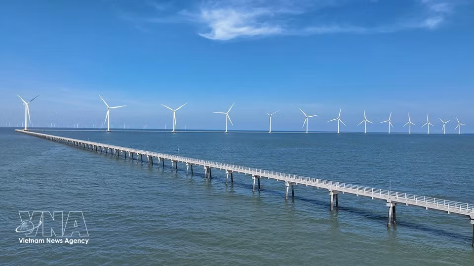 Hoa Binh 1 and 2 wind power plants in Vinh Hau commune, Ca Mau province, generate about 400 million kWh annually, contributing to national energy security. (Photo: Vu Sinh/VNA)