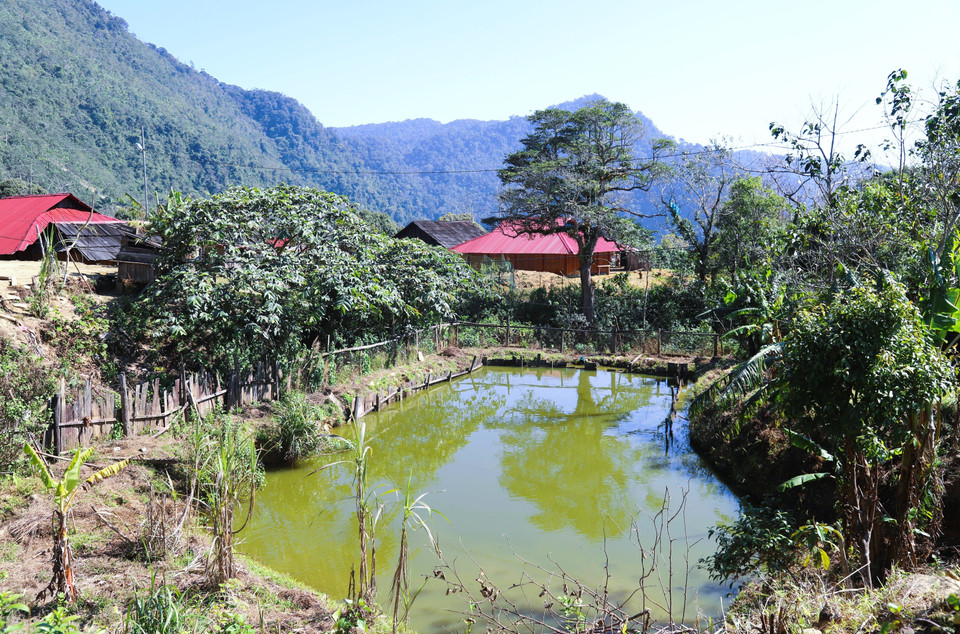 Mong people in Huoi Man village divert streams and build embankments to create fish ponds, providing food for their families. (Photo: Xuan Tien – VNA)