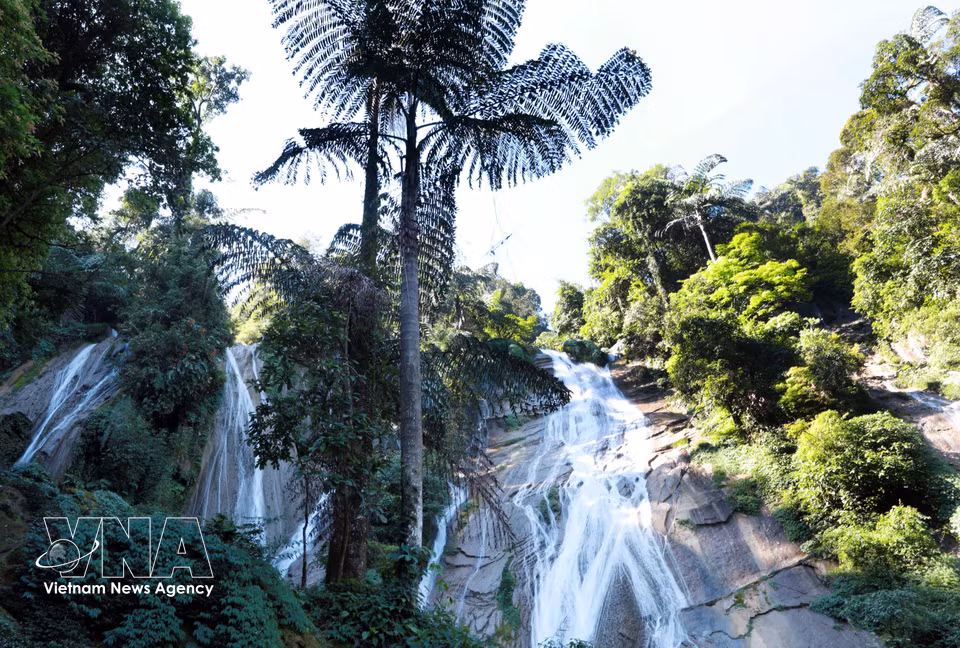 The uppermost tier, standing about 140m high, cascades down like a soft silk ribbon draped across the mountainside, surrounded by a remarkably rich ecosystem. (Photo: Quy Trung – VNA)