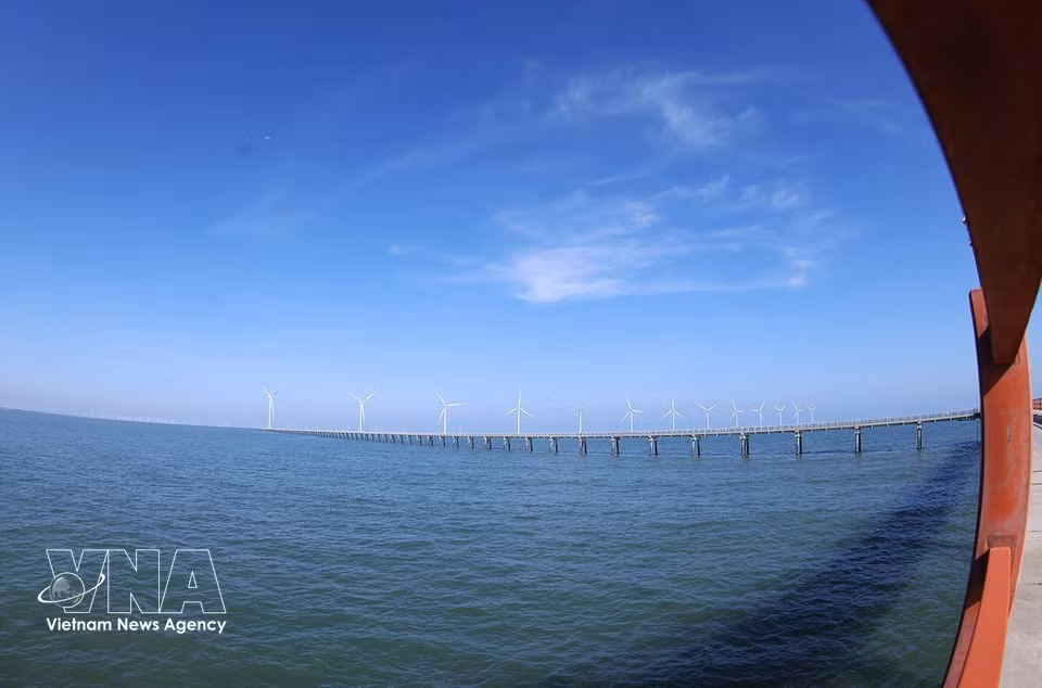 Hoa Binh 1 and 2 wind power plants in Vinh Hau commune, Ca Mau province, generate about 400 million kWh annually, contributing to national energy security. (Photo: Vu Sinh/VNA)