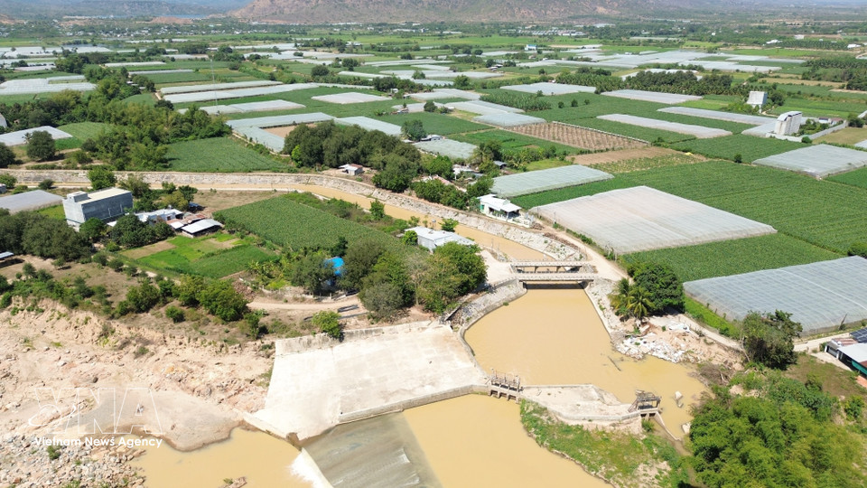 The canal system branching from Nha Trinh weir extends along both banks of the Cai Phan Rang River, providing water to thousands of hectares of farmland. (Photo: Nguyen Thanh/VNA)