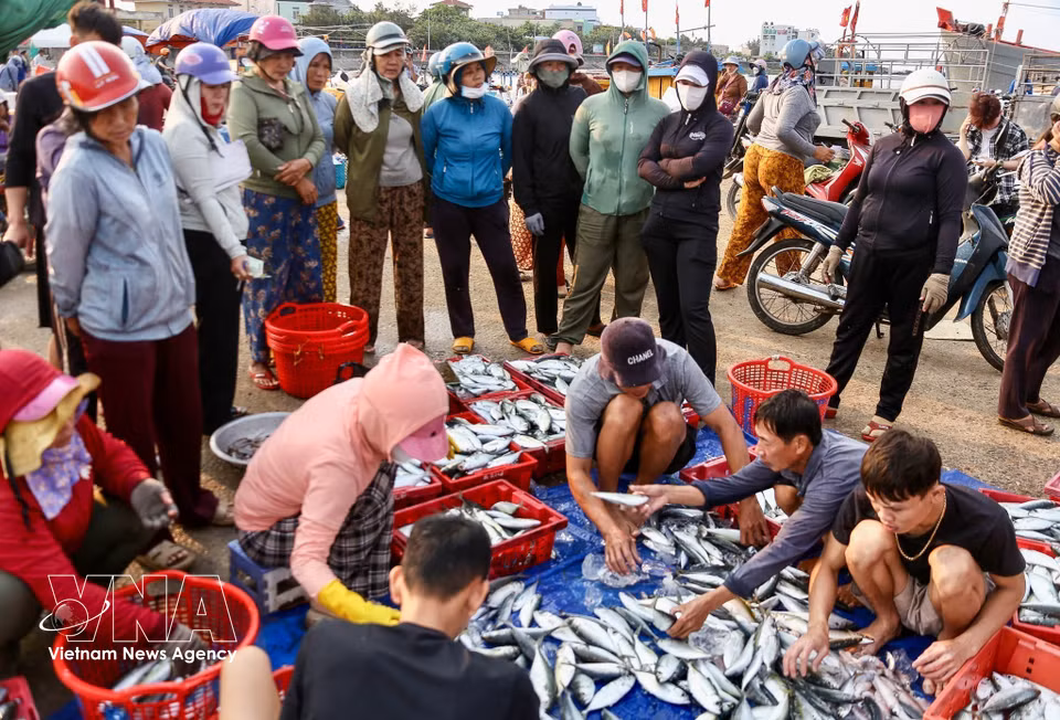 The fish market in Ly Son Special Zone is known for its fresh seafood and vibrant atmosphere. The market preserves the colorful character of a traditional coastal trading hub. (Photo: Lan Anh/Published by VNA)