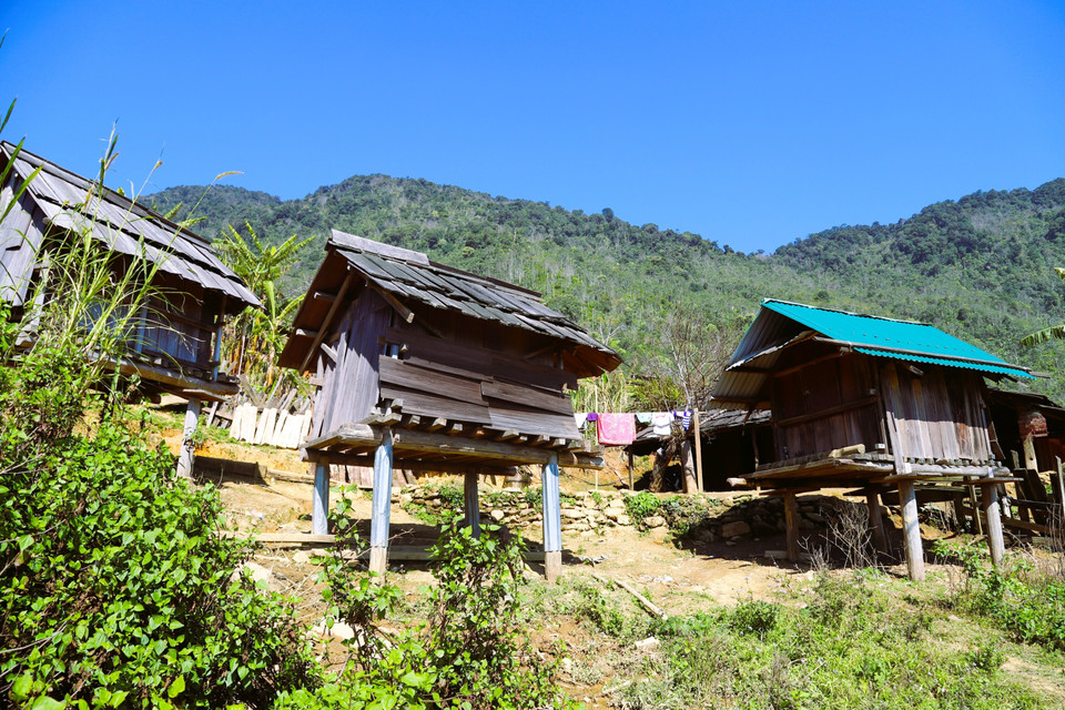 A two-storey food storage house (lau khau) of the Mong people in Huoi Man village is built of wood and roofed with sa mu wood shingles. Located separately from residential areas, it is used to store rice, maize and root crops such as cassava and sweet potatoes. (Photo: Xuan Tien – VNA)