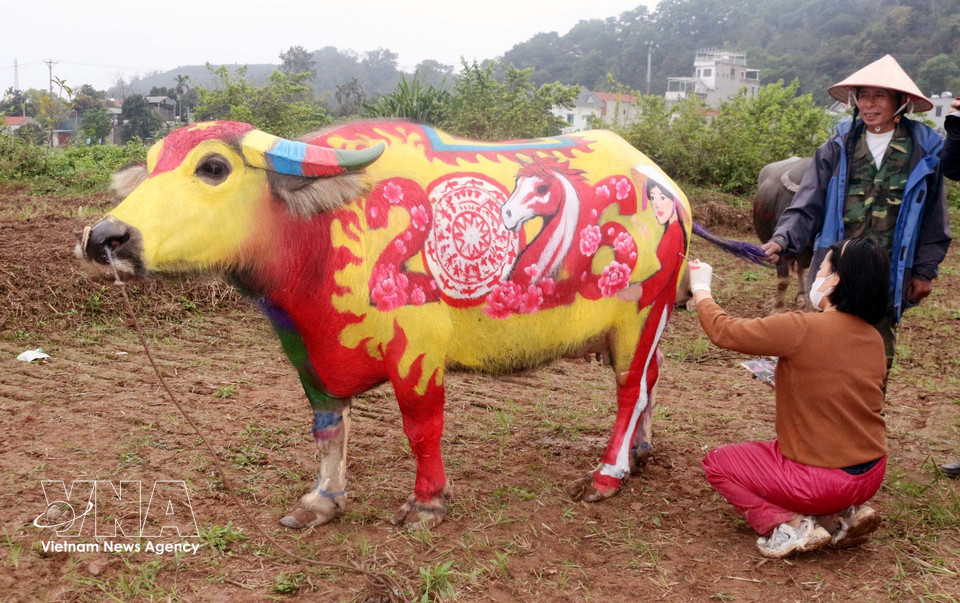 The buffalo wins first prize at the contest. (Photo: Nguyen Chinh – VNA)