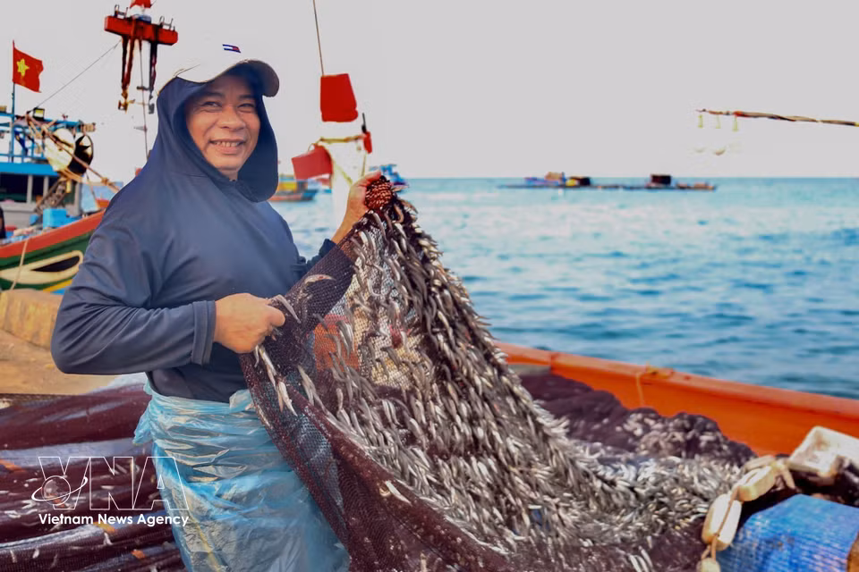 A fisherman in Ly Son smiles brightly after a successful catch. (Photo: Lan Anh/Published by VNA)