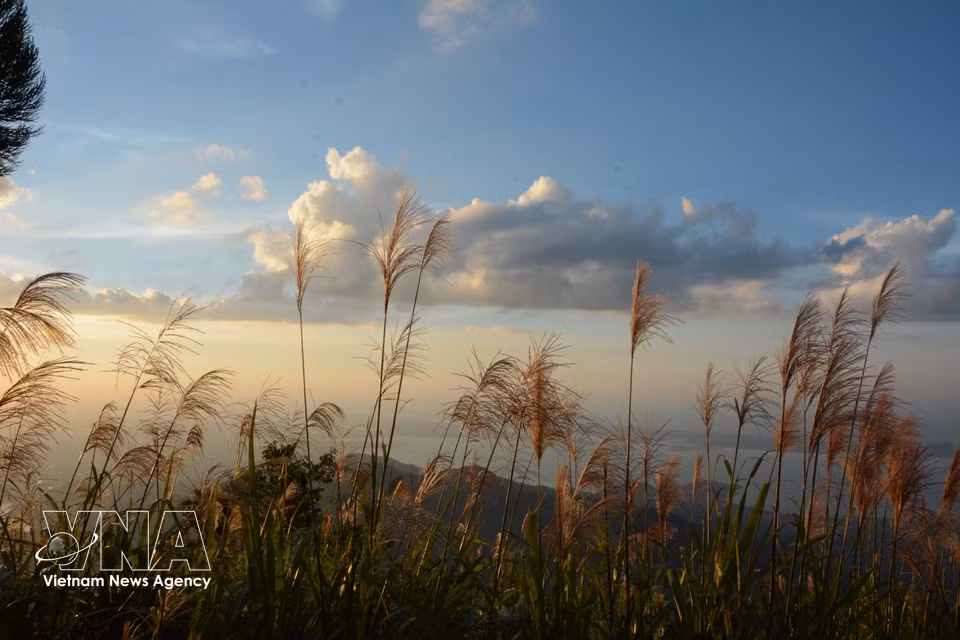Rolling mountain ranges stretch as far as the eye can see from Vong Hai Observatory. (Photo: Van Dung – VNA)