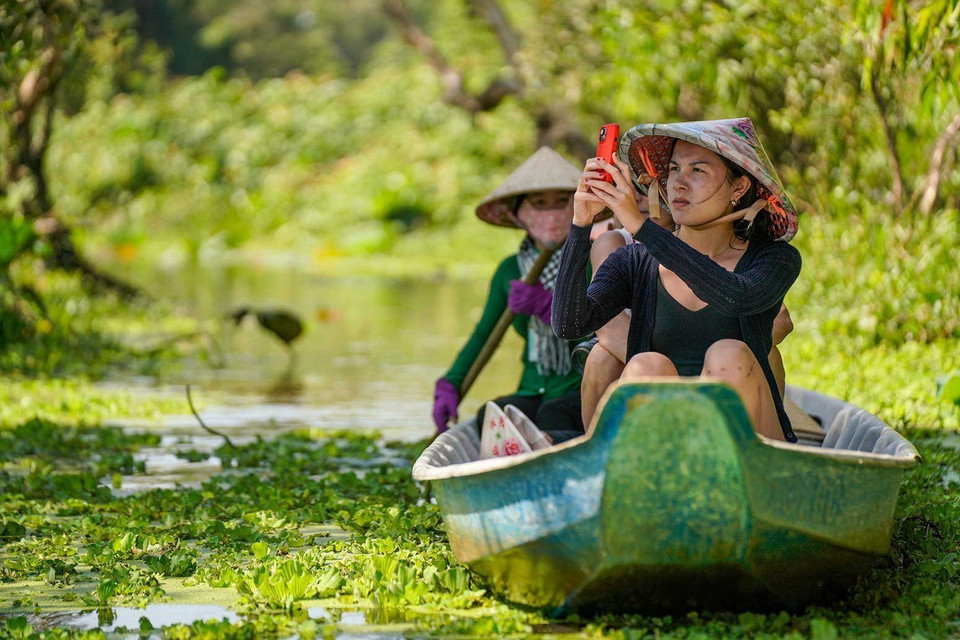 Tra Su cajuput forest attracts visitors with its poetic scenery and rich biodiversity. (Photo: Khanh Hoa – VNA)