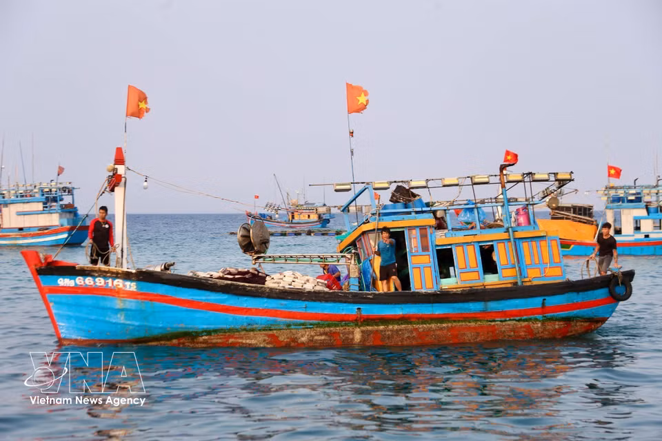 Fishing boats return with holds full of seafood after a night offshore. The fresh catch reflects the hard work and perseverance of local fishermen. (Photo: Lan Anh/Published by VNA)