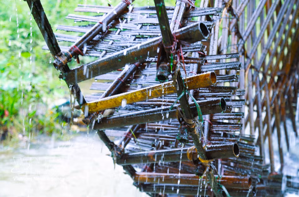 Hundreds of slightly tilted bamboo tubes are fixed along the wheel’s rim to lift water from the stream as the wheel rotates. (Photo: Xuan Tien – VNA)