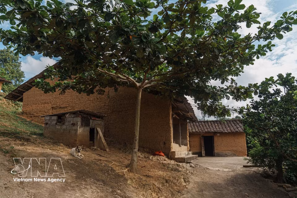 Earthen houses stand under the shade of large trees. The living space reflects a close bond with nature. The village holds strong potential for community-based tourism. (Photo: Pham Tuan Anh – VNA)