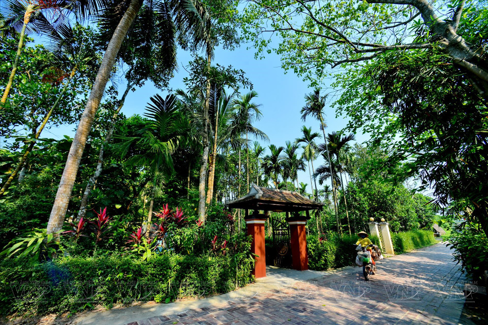 The tranquil scene along the village road (Photo: VNP/VNA)