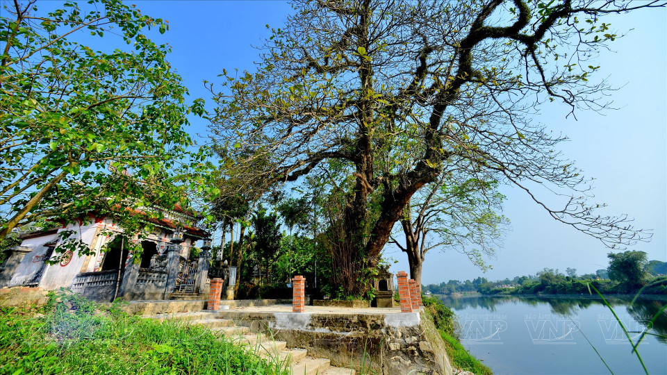 Nestled along the serene O Lau River, Phuoc Tich is known for its picturesque landscape. (Photo: VNP/VNA)