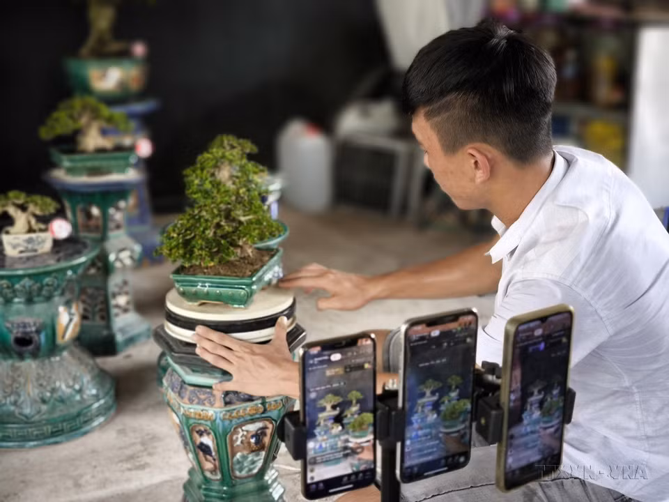 In addition to selling agricultural products through a traditional way, farmers in Ben Tre province have recently adopted e-commerce to connect with markets, resulting in higher incomes. (Photo: Huynh Phuc Hau - VNA)