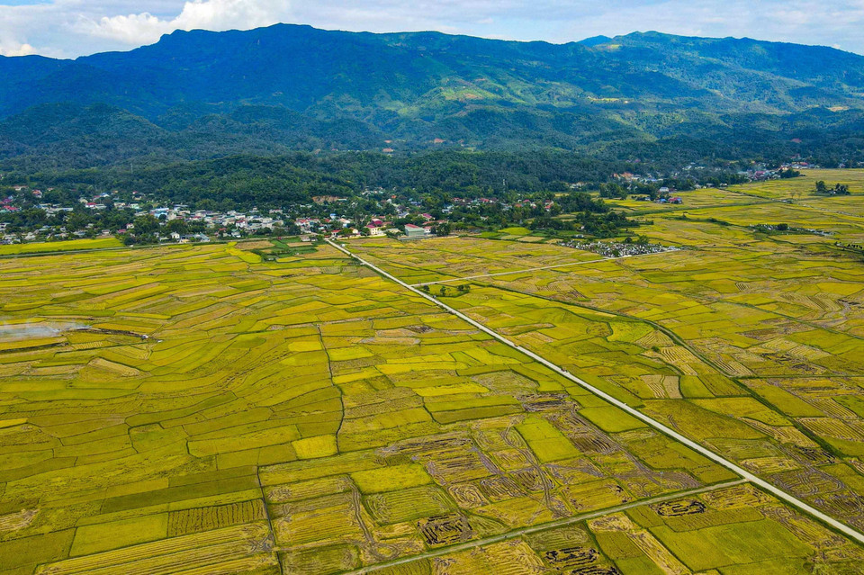 The Muong Thanh fields in Thanh An commune, Dien Bien district (Dien Bien province). (Photo: VNA)