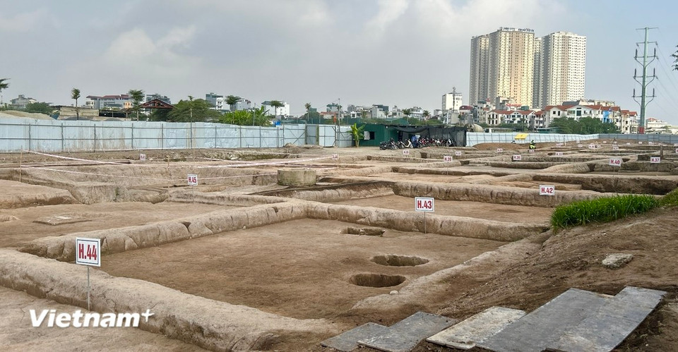 The excavation in the western part of the Vuon Chuoi site has been conducted in over 60 pits, each covering an area of 100m². (Photo: VNA)