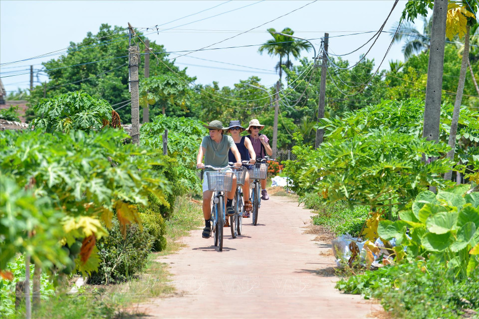 Tourists cycle along the small paths winding through lush vegetable gardens. (Photo: Thanh Hoa/VNA)