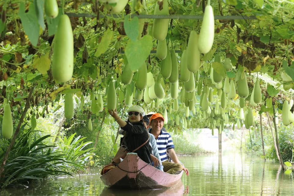 Tourists take a boat tour of the bottle gourd growing area at Tran Ba Chuot Tourist Area in Lai Vung district in the Mekong delta province of Dong Thap. (Photo: VNA)