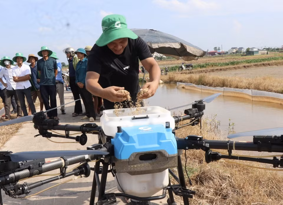 Farmers in Bac Ninh province prepare to sow rice seeds using drones. (Photo: VNA)
