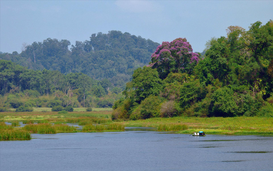 Cat Tien National Park was officially added to the Green List of Protected and Conserved Areas of the IUCN last June, marking a significant advancement in the conservation of nature and biodiversity in Vietnam. (Photo: Tang A Pau)