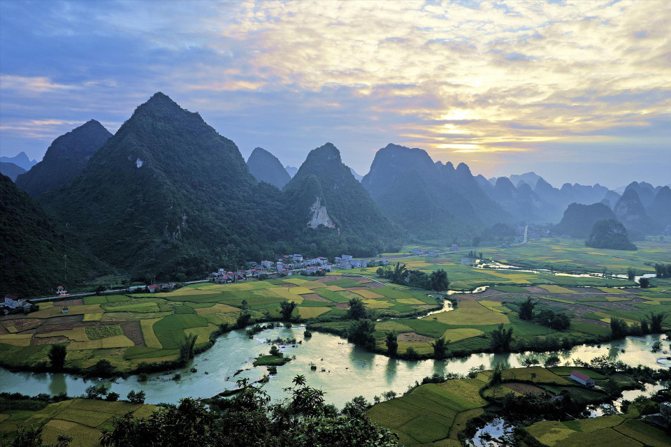 The ripe rice fields in Phong Nam commune in the morning sunlight. (Photo: VNA)