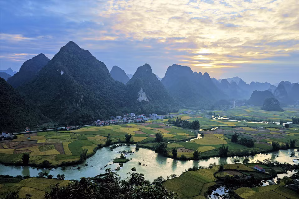The ripe rice fields in Phong Nam commune in the morning sunlight. (Photo: VNA)