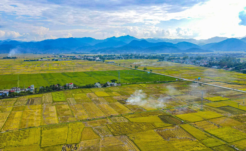 An aerial view of the Muong Thanh fields. (Photo: VNA)