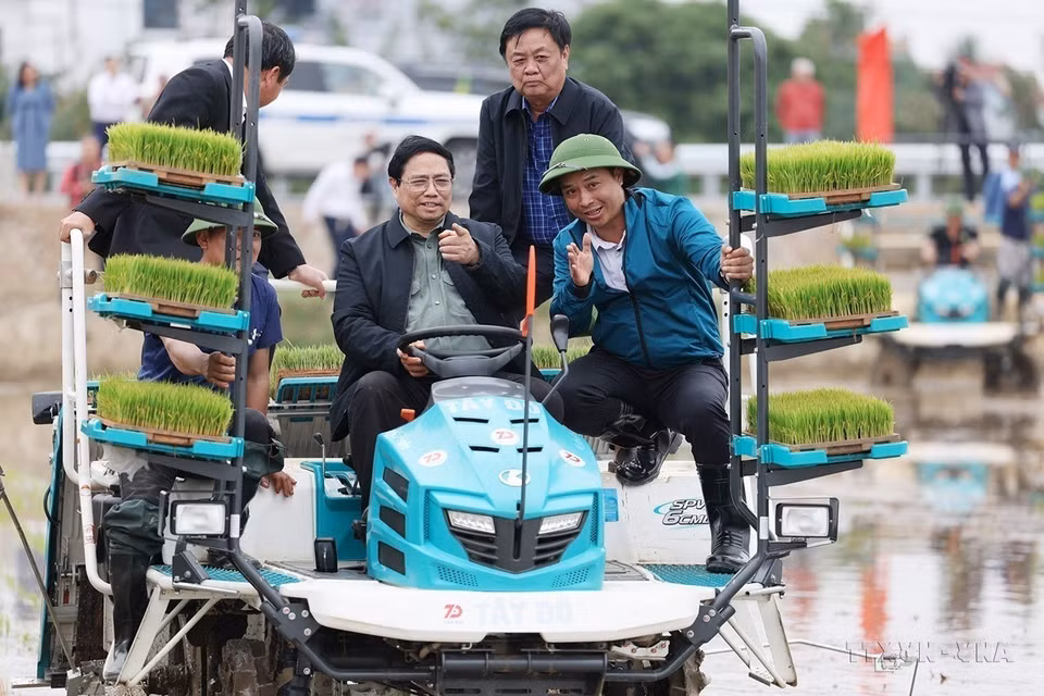Prime Minister Pham Minh Chinh joins farmers in Ninh Giang district in Hai Duong province in mechanised rice transplanting for the Winter-Spring crop on the afternoon of February 15, 2024. (Photo: Duong Giang - VNA)