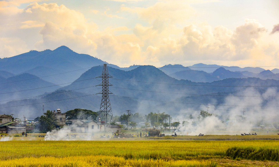 The sight of Muong Thanh's rice fields enveloped in the evening mist. (Photo: VNA)