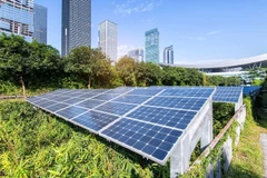 Solar panels in Indonesia. (Photo: Shutterstock) 