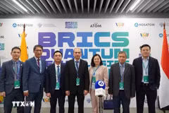 Vietnamese delegation to the forum (Photo: VNA)