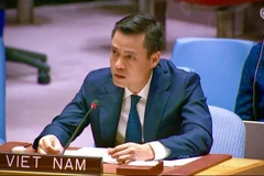 Ambassador Dang Hoang Giang, Permanent Representative of Vietnam to the UN, addresses the debate. (Photo: VNA)