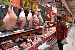 China bans imports of pigs, wild boars from Philippines