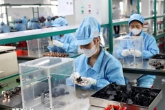 Illustrative photo (Photo: VNA)