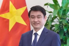 Deputy Foreign Minister Le Anh Tuan (Photo: VNA)